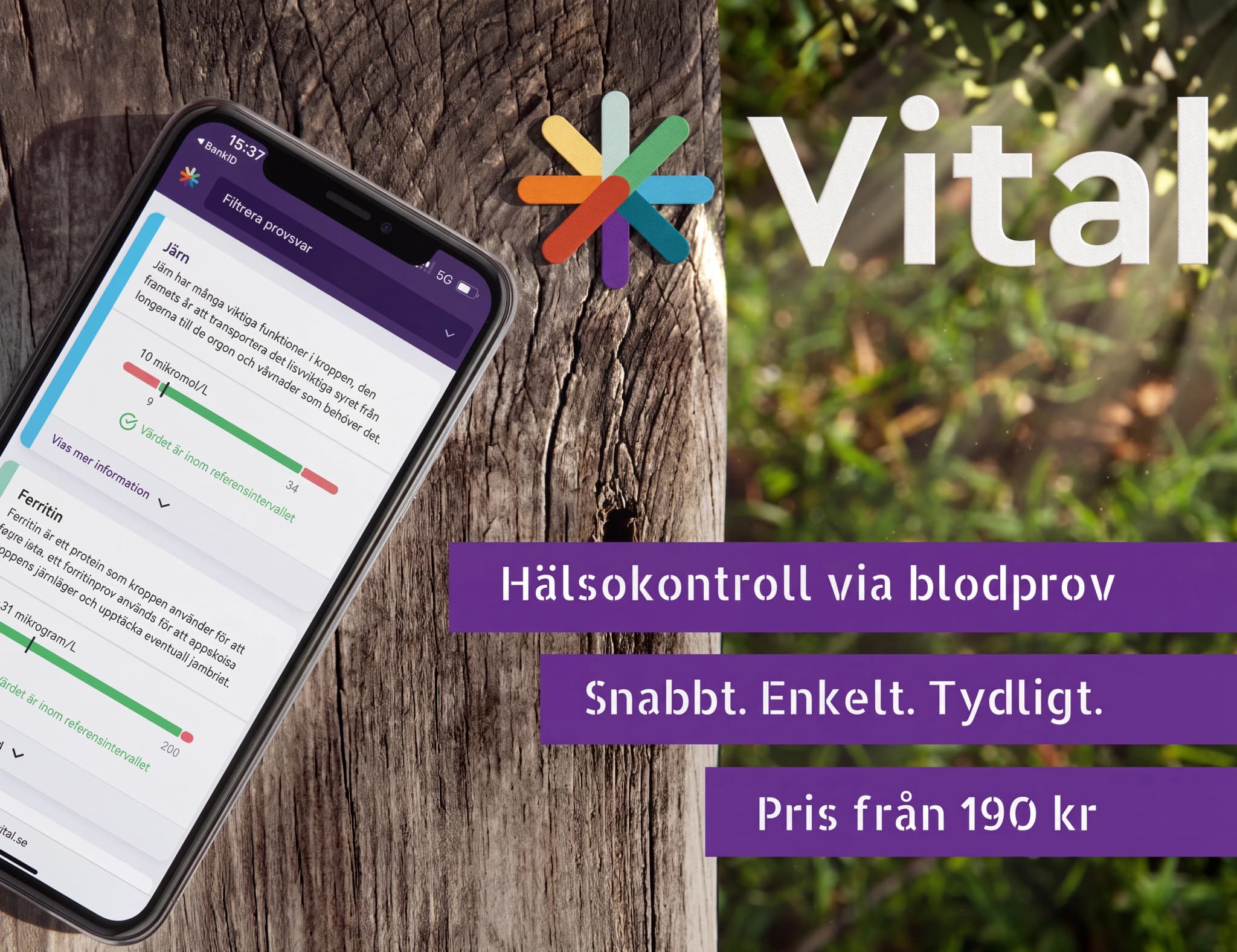 En mobiltelefon visar en hälsokontroll via blodprov-app med resultat för järn och ferritin, placerad på ett träunderlag bredvid ett gräsigt område.