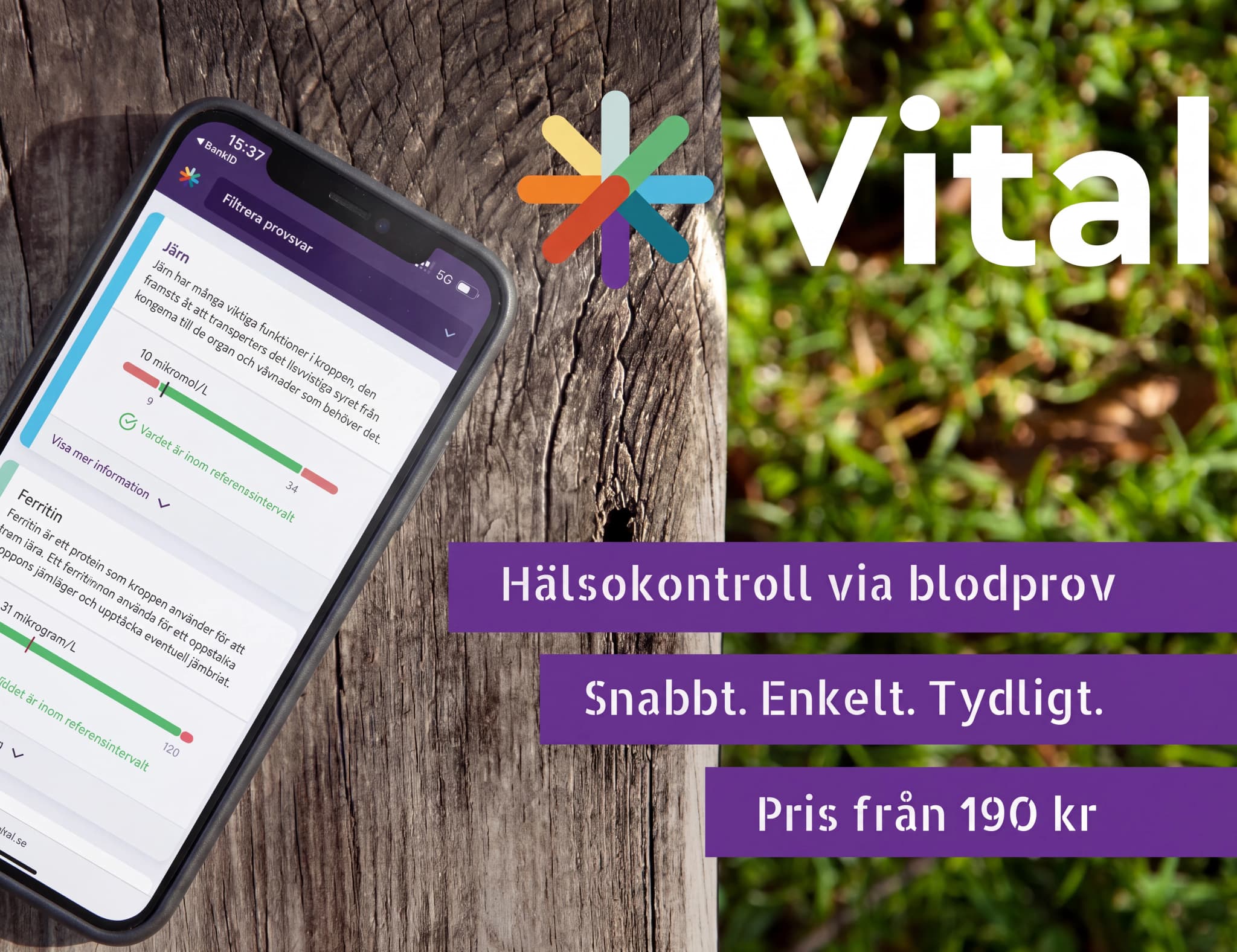 En smartphone som visar en hälsokontroll-app med blodprovsresultat för järn och ferritin, placerad på ett träbord.