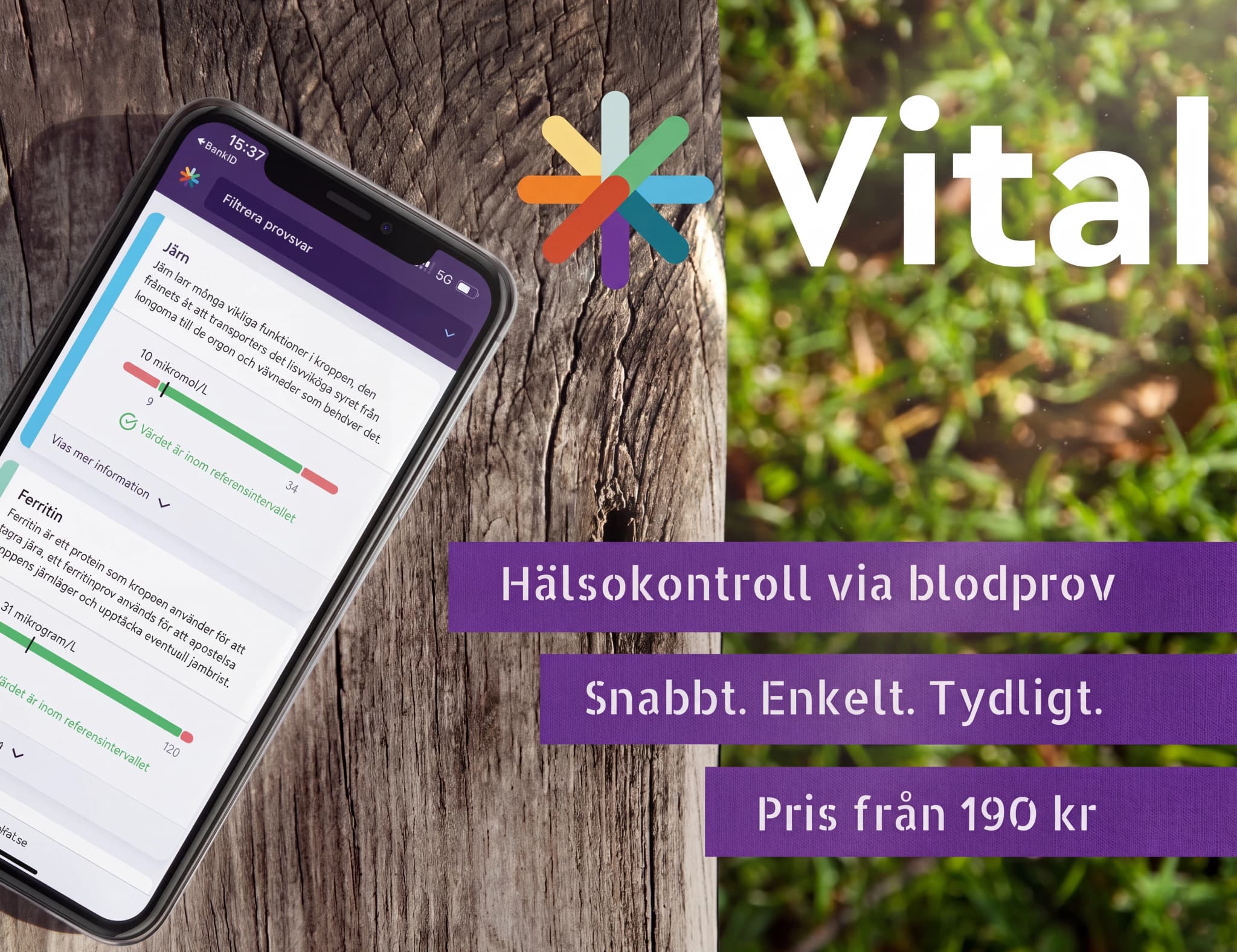 En smartphone som visar en app med hälsodata, inklusive järn- och ferritinmätningar, bredvid en logotyp och text om hälsokontroller.