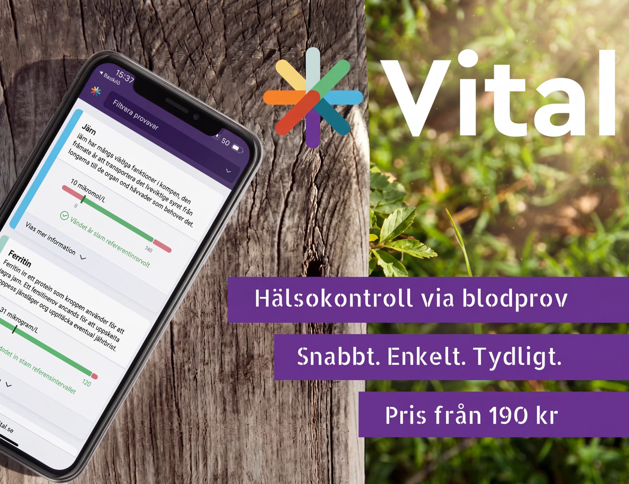 En mobiltelefon som visar en hälsokontroll-app med resultat för järn och ferritin, med en bakgrund av trä och gräs.