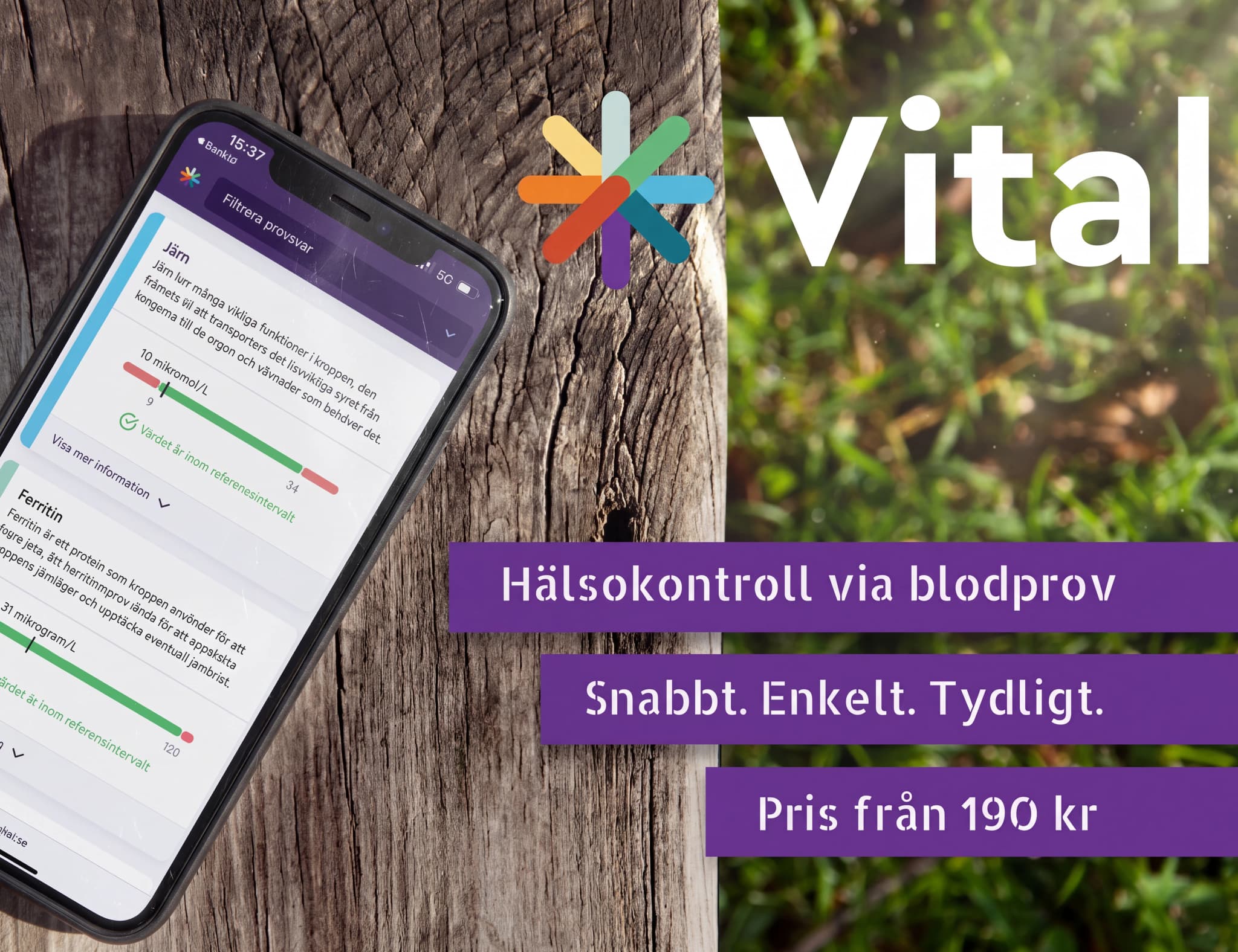 En smartphone som visar Vital-appens hälsokontroll via blodprov, med information om järn och ferritin, placerad på ett träbord.