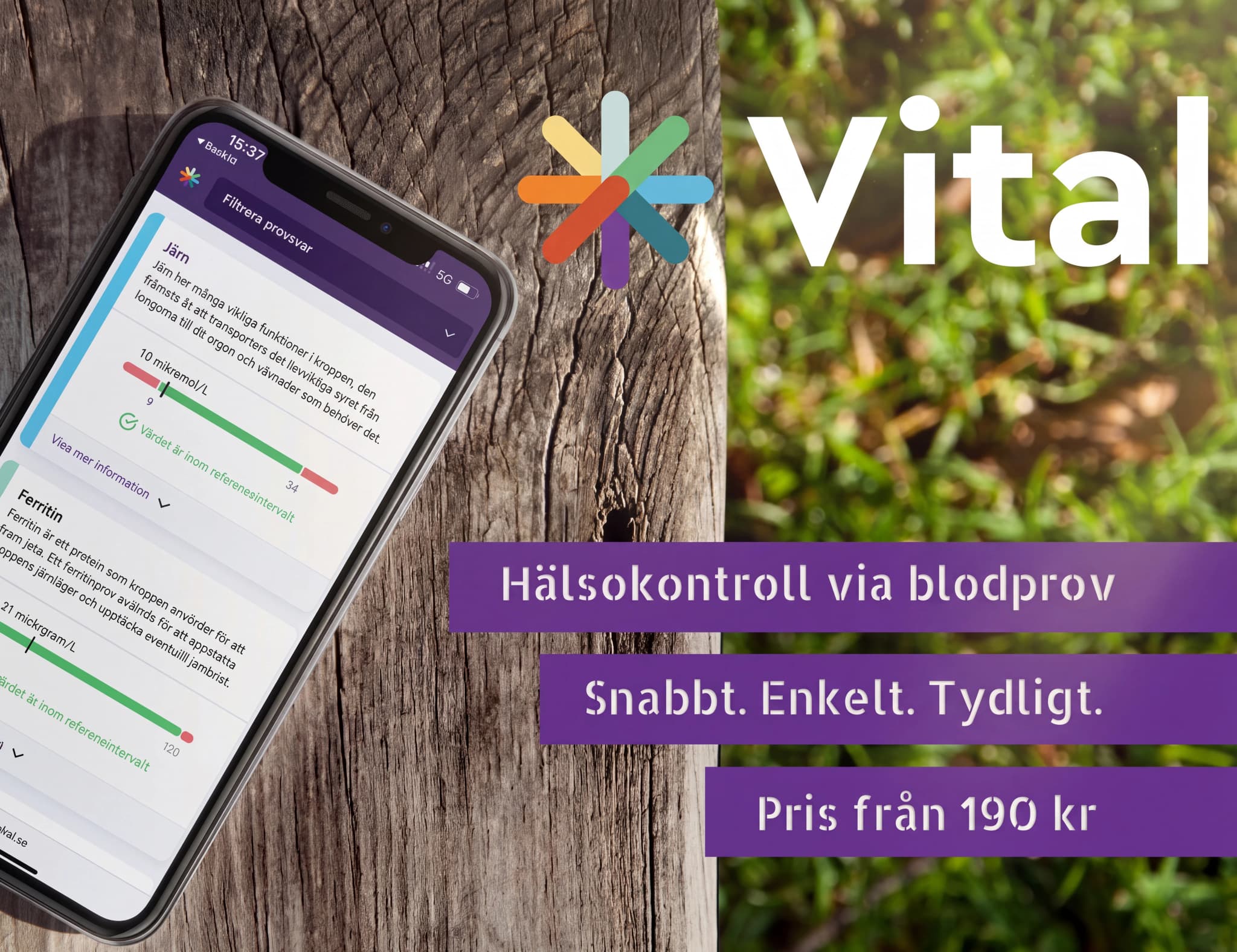 En smartphone som visar appen Vital med resultat för järn och ferritin, placerad på en träyta.