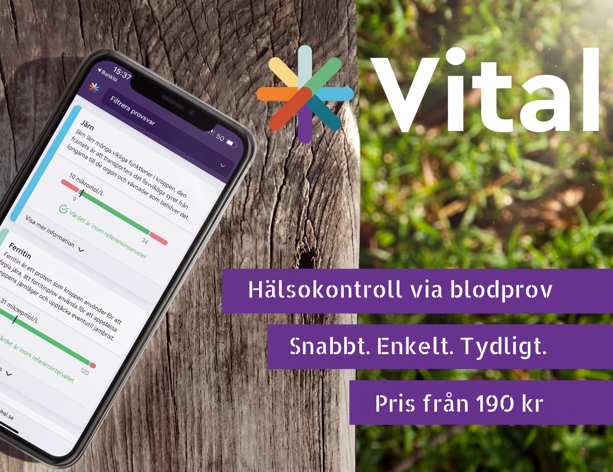 En smartphone visar en app med blodprovsresultat, inklusive järn- och ferritinmätningar, med en graf som indikerar normala intervall. Texten 'Vital' och slogan 'Hälsokontroll via blodprov' syns till höger.