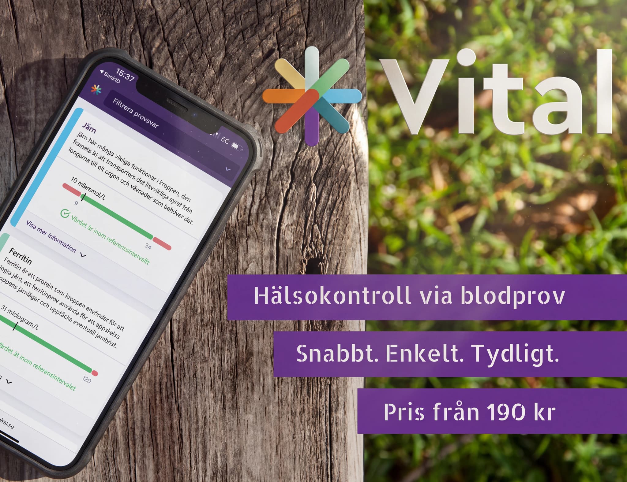 En smartphone som visar appen Vital för hälsokontroller via blodprov, med information om järn och ferritin.