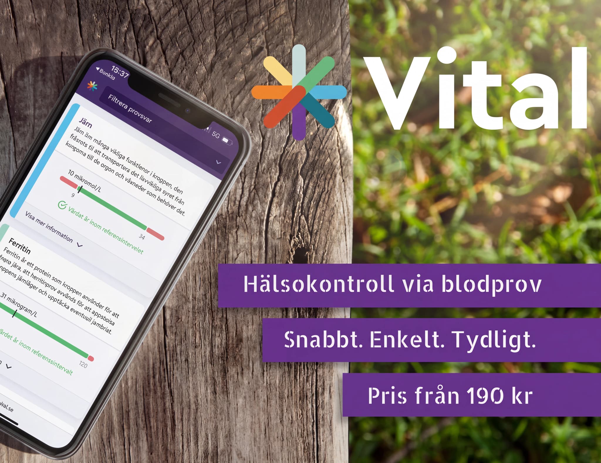 En smartphone visar Vital-appen för hälsokontroll via blodprov, med information om järn och ferritin. Telefonen ligger på en träyta.