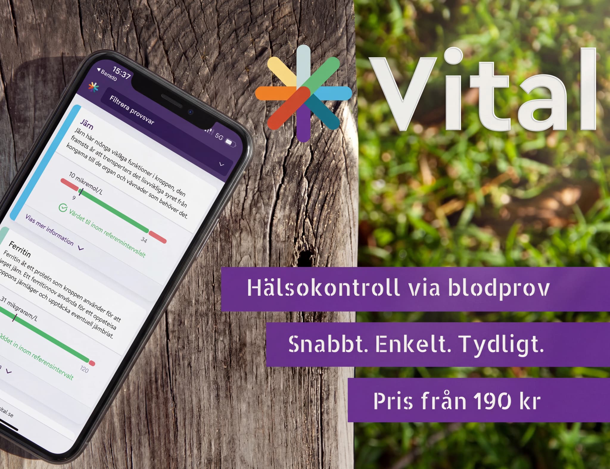 En närbild på en smartphone som visar en app med hälsokontroller via blodprov, där järn- och ferritinresultat visas.