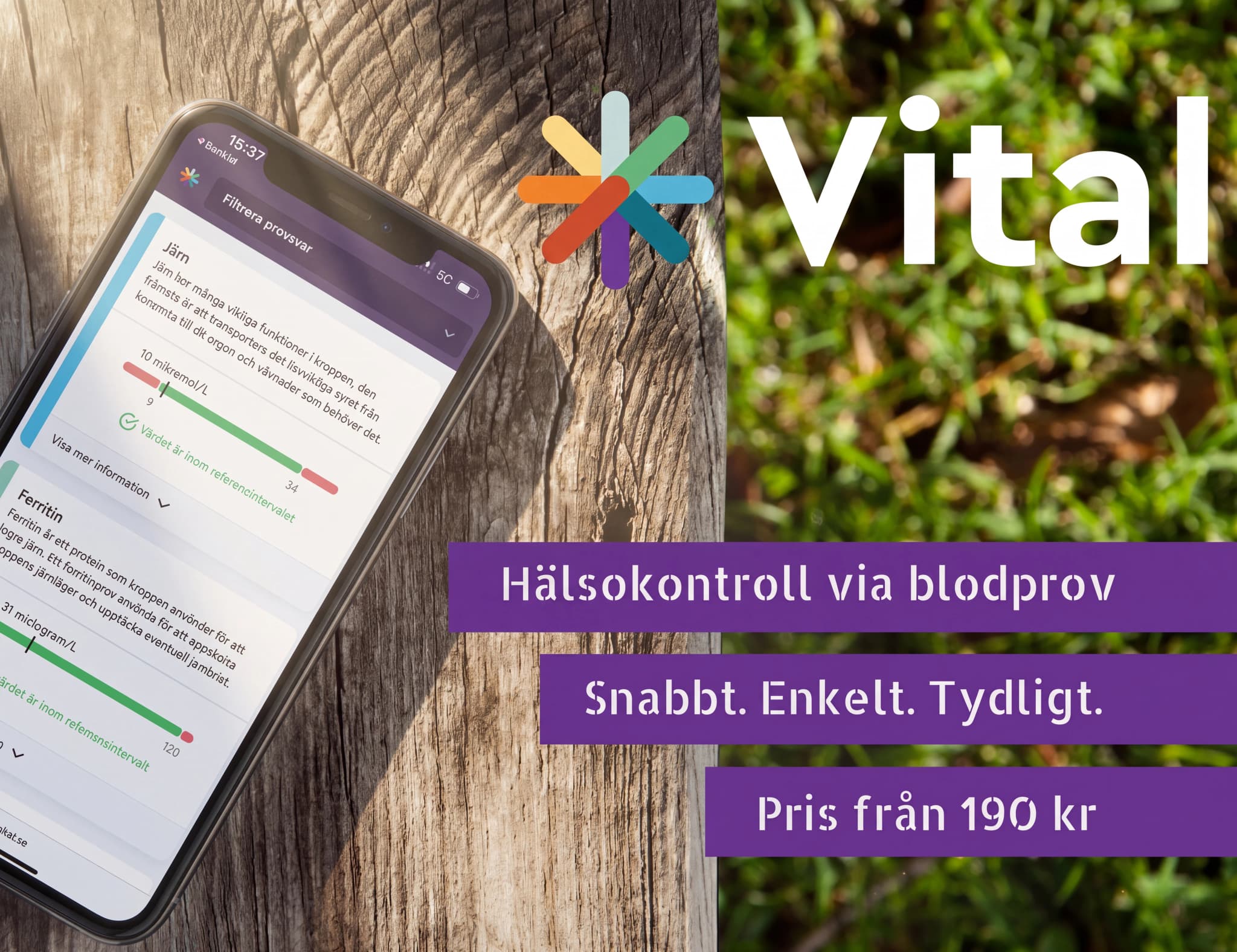 En smartphone som visar Vital-appen för hälsokontroll via blodprov, med resultat för järn och ferritin. Bakgrunden är en träyta och gräs.