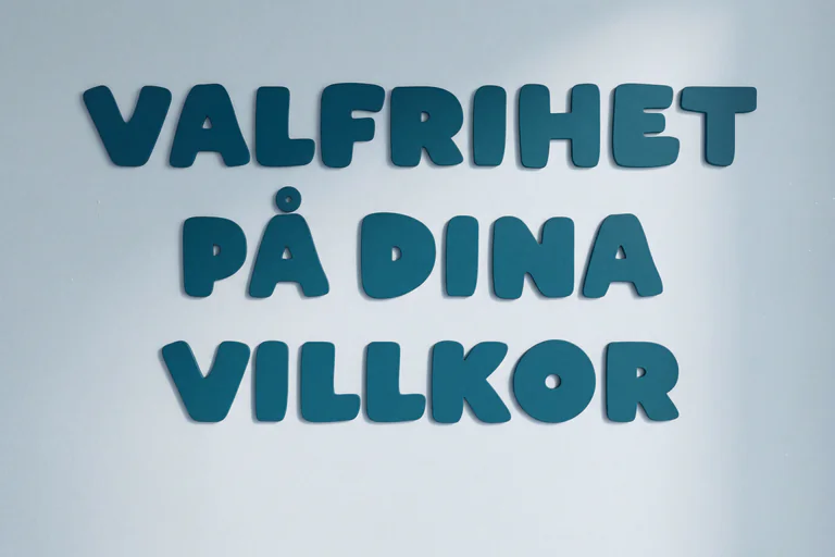 Texten 'VALFRIHET PÅ DINA VILLKOR' i stora, tecknade bokstäver.